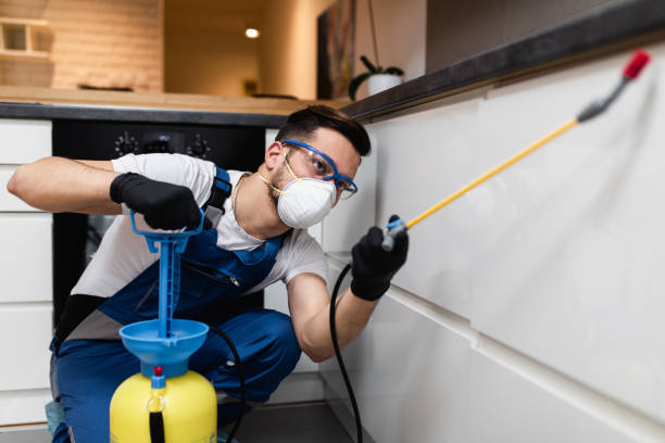 Best Affordable Pest Control Services  in Lincoln Park, NY