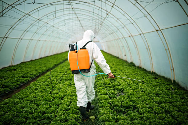 Reliable Lincoln Park, NY Pest Control Solutions