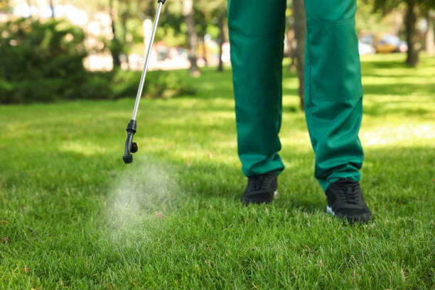  Lincoln Park, NY Pest Control Pros