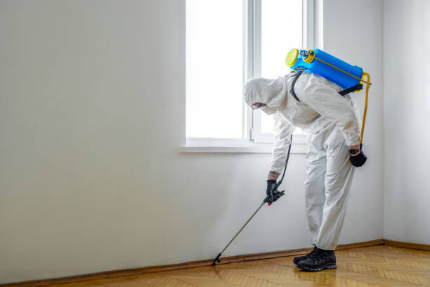 Best Best Pest Control Companies  in Lincoln Park, NY