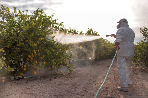 Best Emergency Pest Control  in Lincoln Park, NY