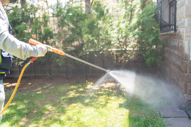 Best Termite Control Services  in Lincoln Park, NY