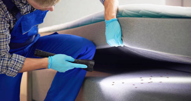 Best Cockroach Control Services  in Lincoln Park, NY