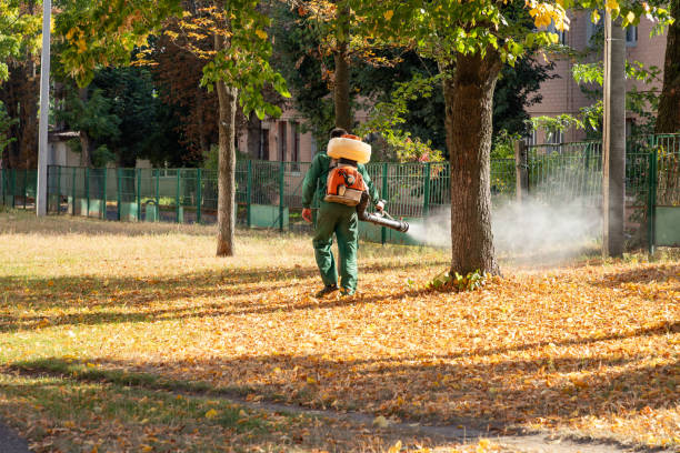 Pest Prevention Services in Lincoln Park, NY