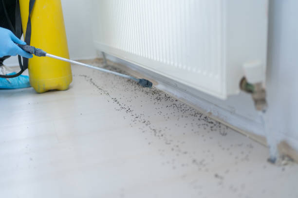 Best Commercial Pest Control Services  in Lincoln Park, NY